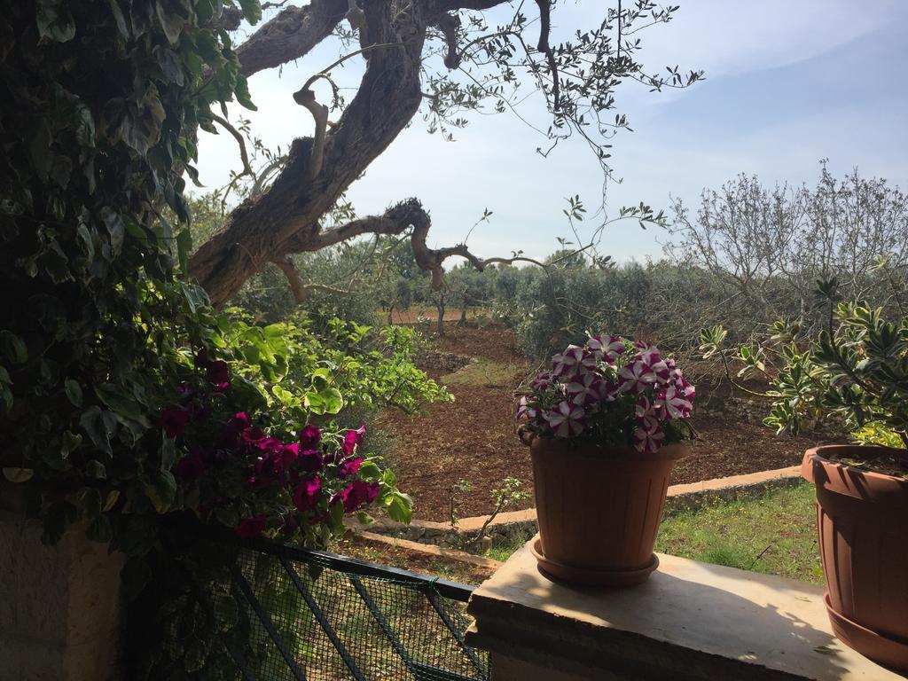 Il Trullo Di Nonno Angelo San Marco Hotel Locorotondo Exterior foto