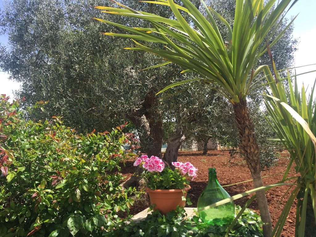 Il Trullo Di Nonno Angelo San Marco Hotel Locorotondo Exterior foto